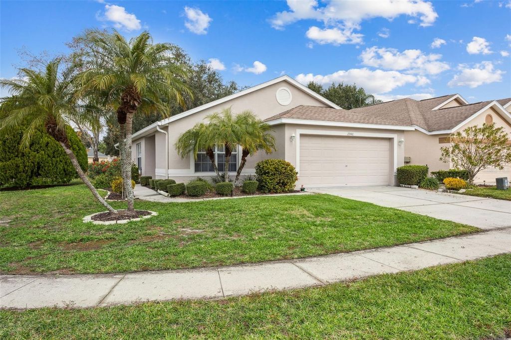 Photo of 2946 Banyan Hill Lane, Land O Lakes, FL 34639 (MLS # TB8462027)