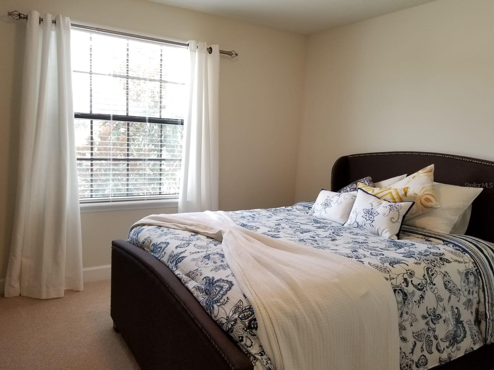 WINDERMERE TERRACE - Residential