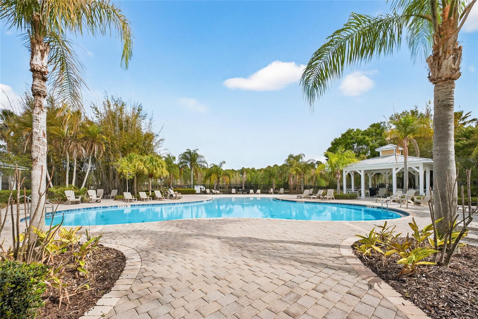 OASIS COVE AT LAKESIDE VILLAGE - Residential