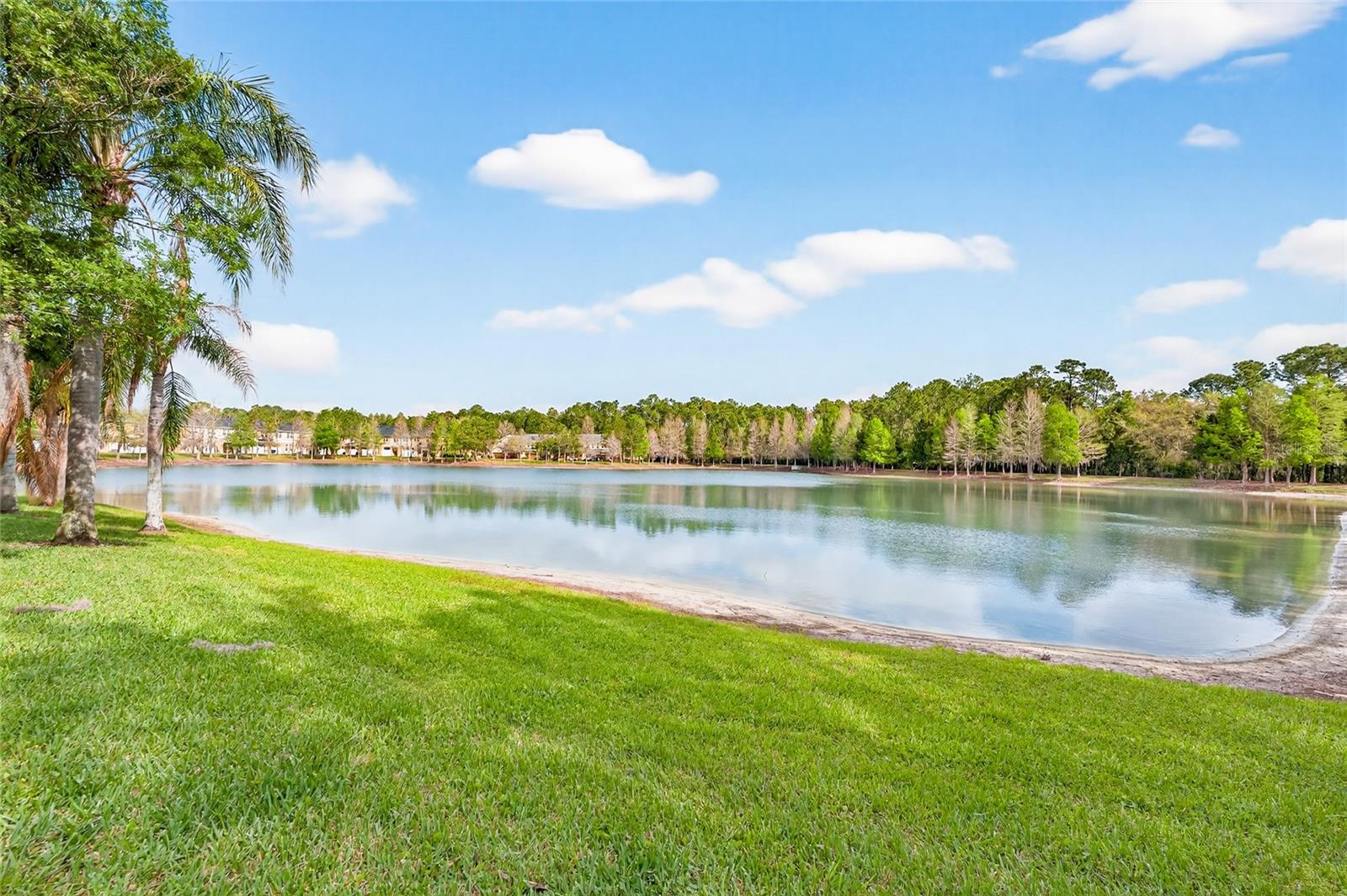 OASIS COVE AT LAKESIDE VILLAGE - Residential
