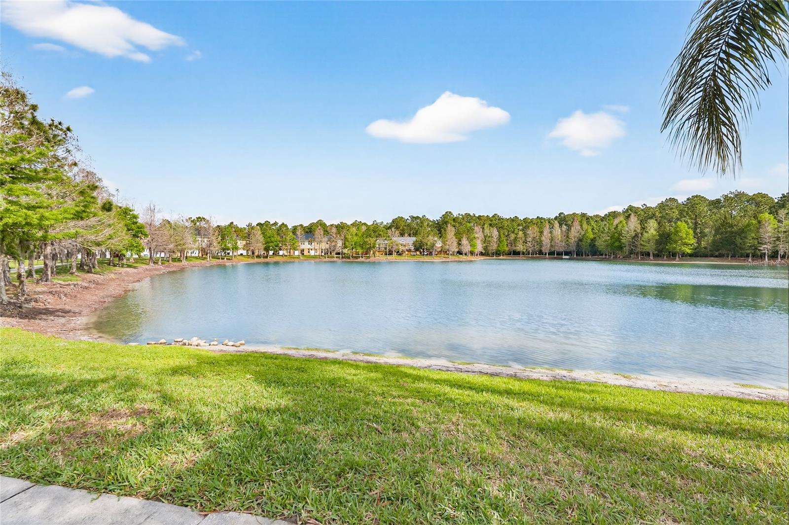 OASIS COVE AT LAKESIDE VILLAGE - Residential