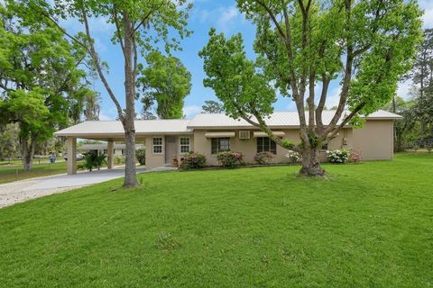 Photo of 4611 Grand Avenue, De Leon Springs, FL 32130 (MLS # V4947922)