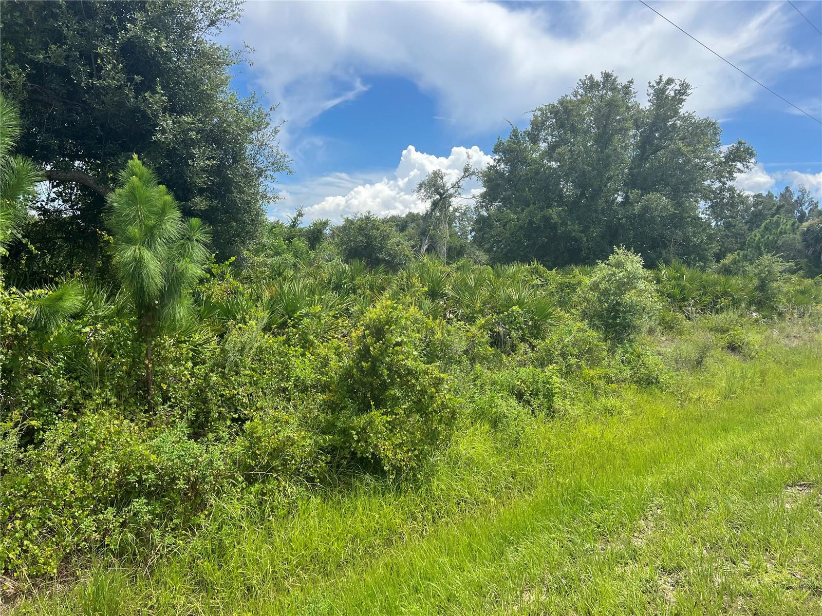 GREAT LOCATION!!!Discover the perfect opportunity to own a piece of North Port, FL, in the heart of a rapidly expanding area. Great vacant lot just few minutes away from famous Warm Mineral Spring Lake, a local gem and Just 15-18 minutes from the Wallen Park downtown area and the highly anticipated new Costco store. Great opportunity to buy and build in the heart of fast growing area of North Port, FL. This property is perfectly situated near shopping centers, a variety of dining options, beautiful parks, stunning beaches, and world-class golf courses. Easy access to U.S 41 and Interstate 75 for smooth commuting and travel. Enjoy the freedom of no HOA, Deed Restrictions, or CDD fees, making it an ideal canvas for your dreams. Don't let this incredible property pass you by. Seize the moment to invest in this exceptional opportunity. Your dream home or investment project awaits!