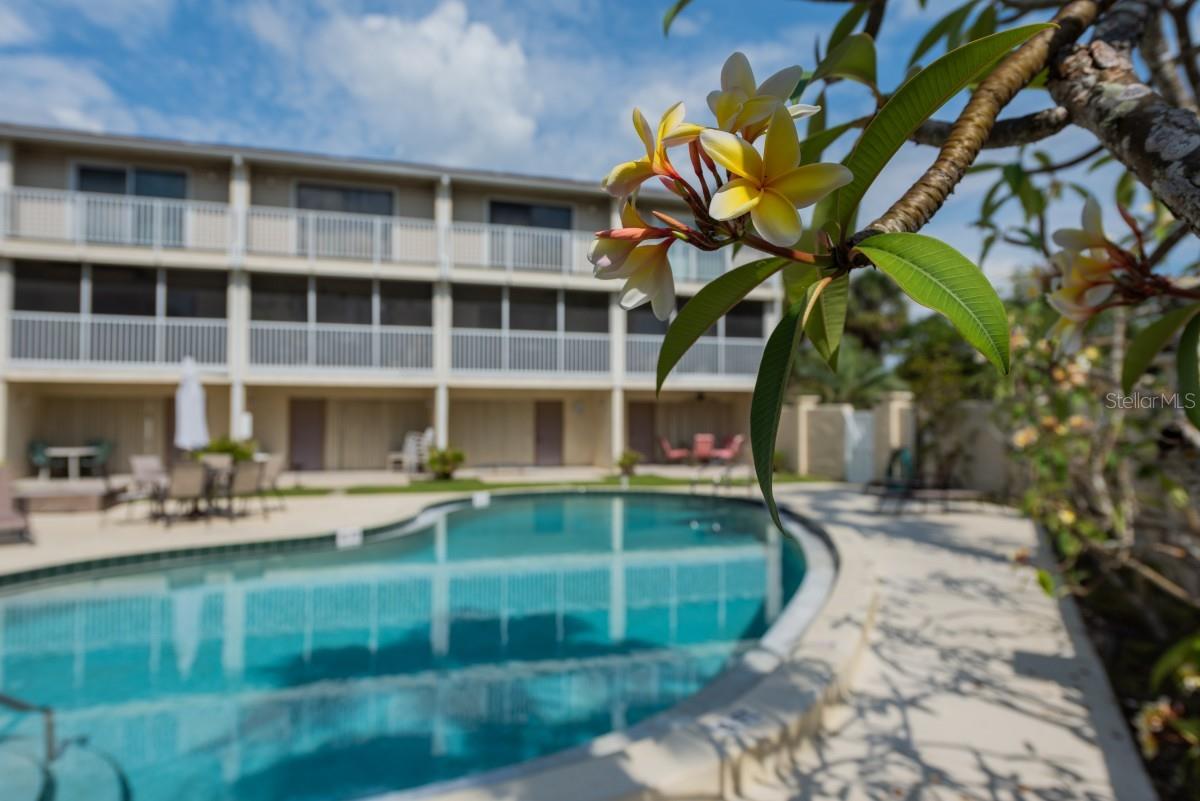 BEACH TWNHS - Residential