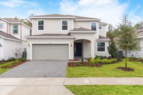 2261 SIRENA LANE MOUNT DORA FL 32757