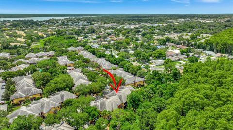 A home in PALM HARBOR