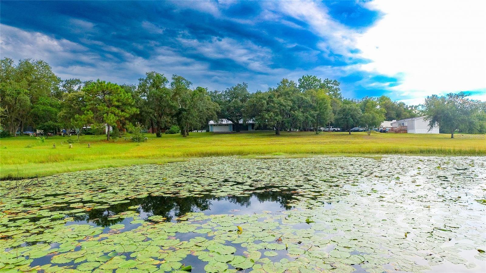 LONG LAKE ESTATES - Residential