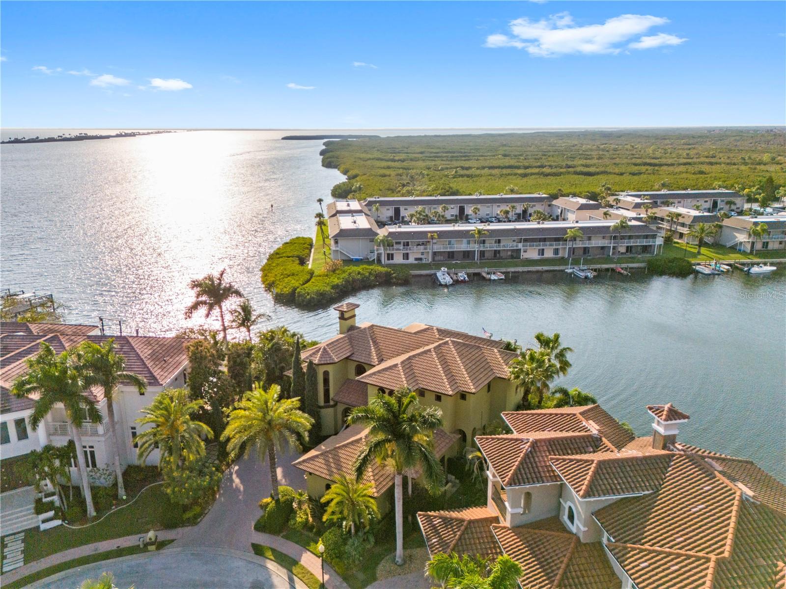 THE RESERVE OF OLD TAMPA BAY - Residential