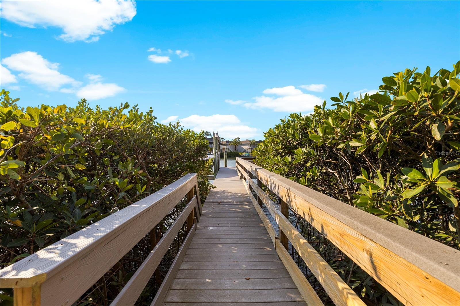 THE RESERVE OF OLD TAMPA BAY - Residential