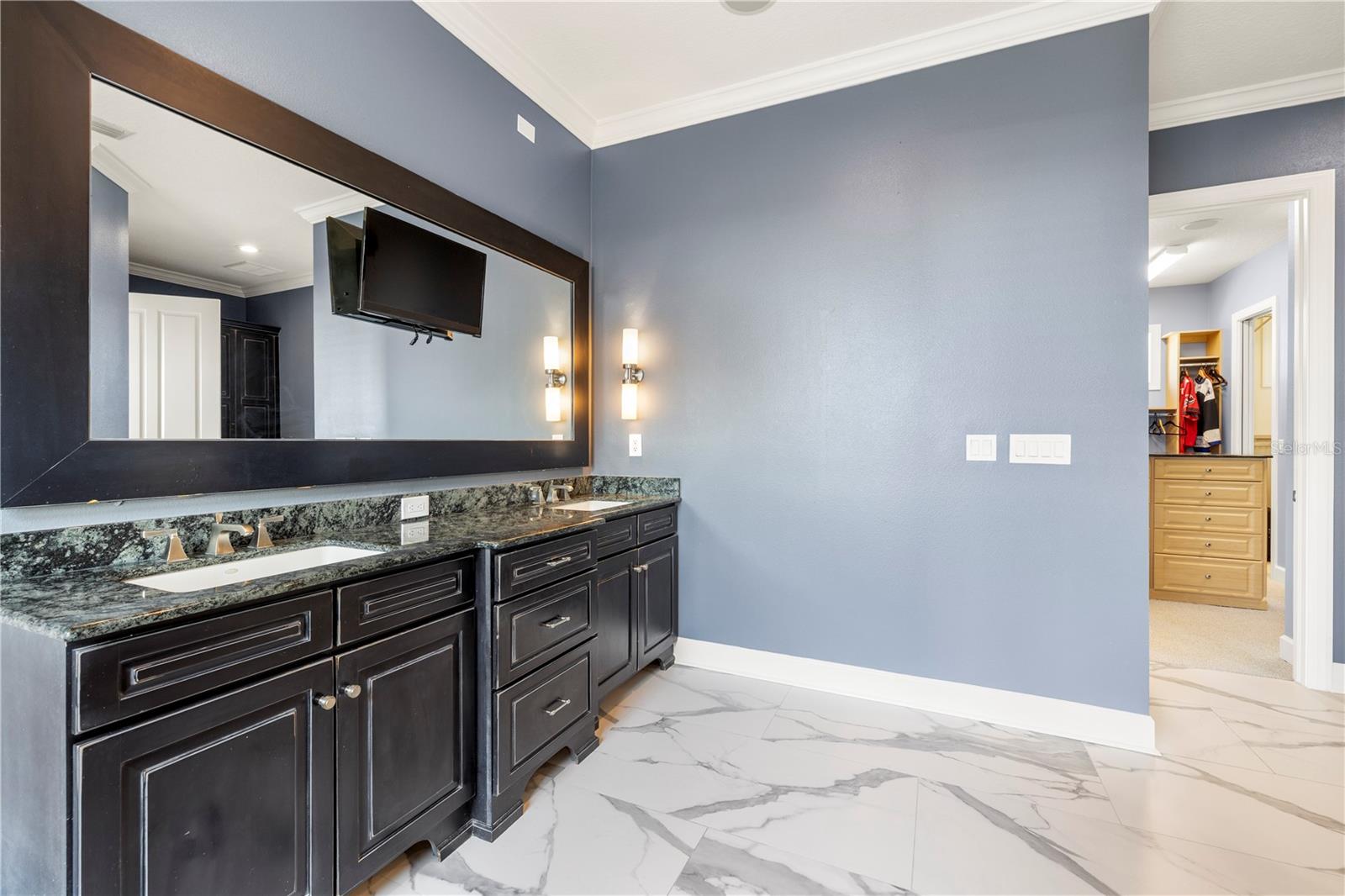 THE RESERVE OF OLD TAMPA BAY - Residential