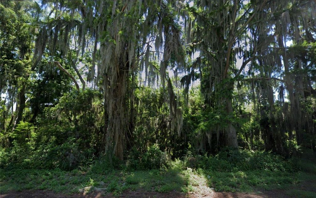 Photo of Unassigned Lakeshore Drive, Eustis, FL 32726 (MLS # TB8474087)