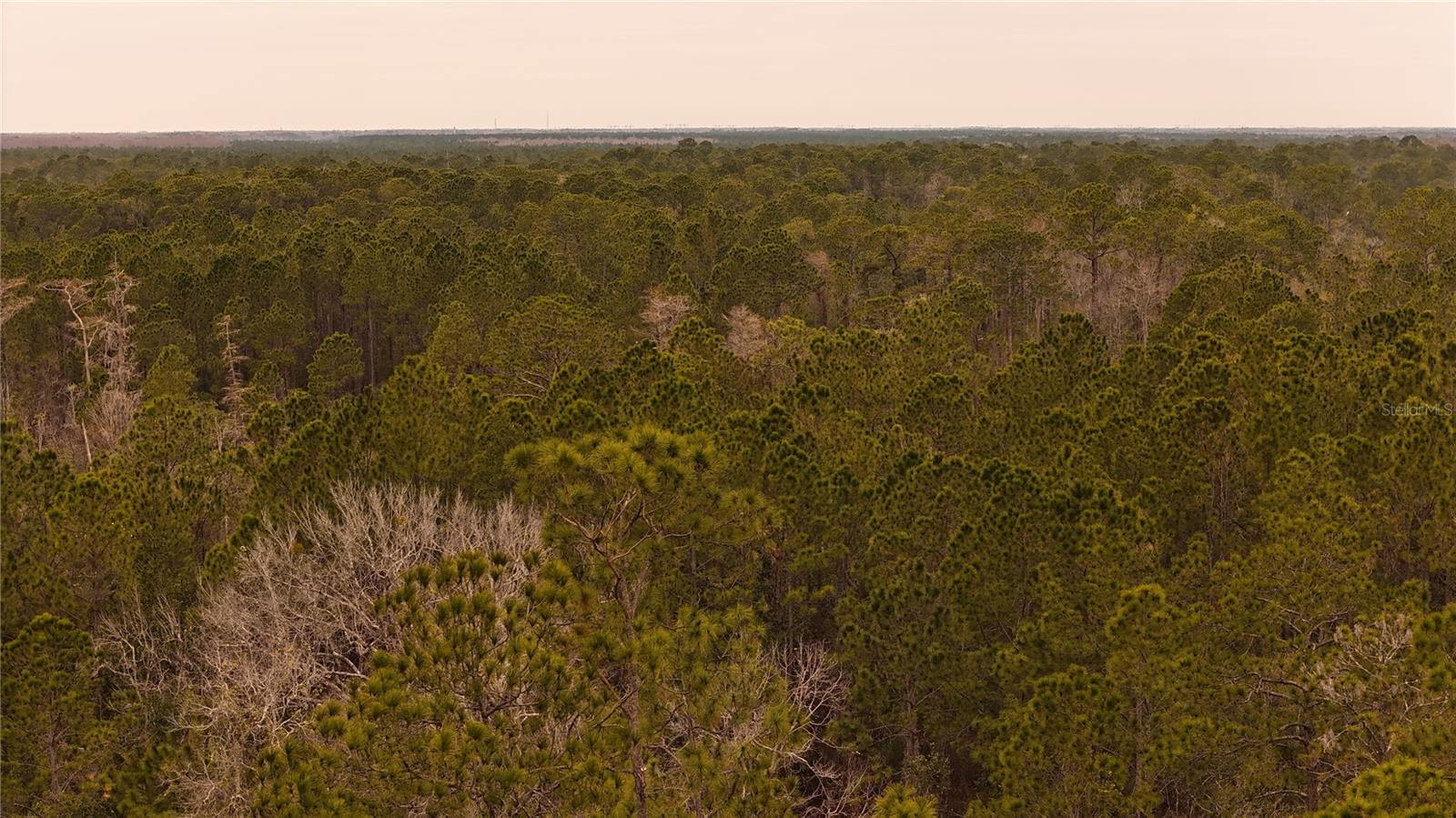 RIMA RDG RANCHETTES - Land