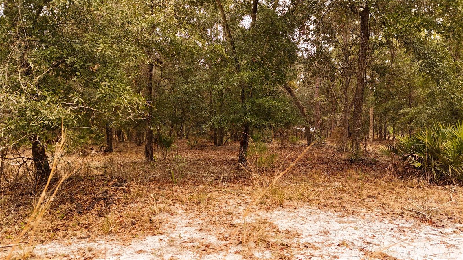 RIMA RDG RANCHETTES - Land