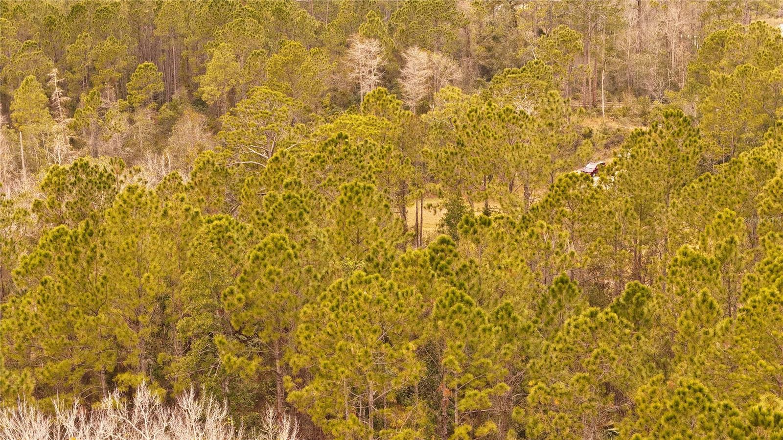 RIMA RDG RANCHETTES - Land