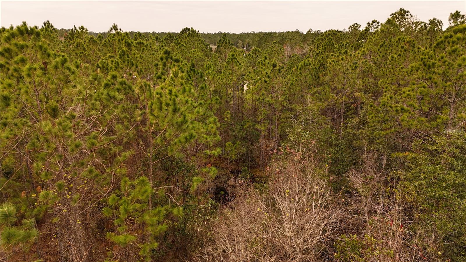 RIMA RDG RANCHETTES - Land