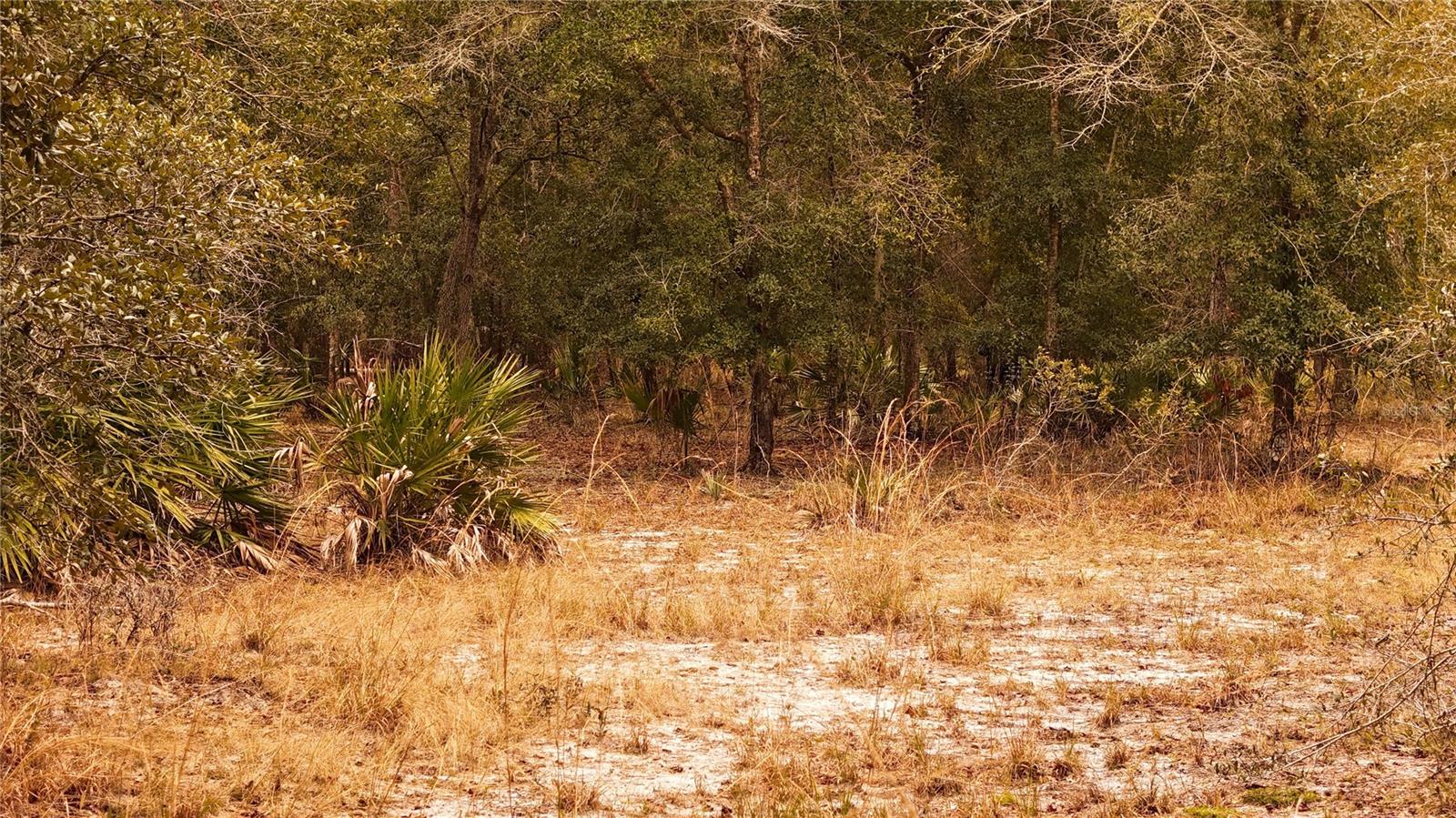 RIMA RDG RANCHETTES - Land