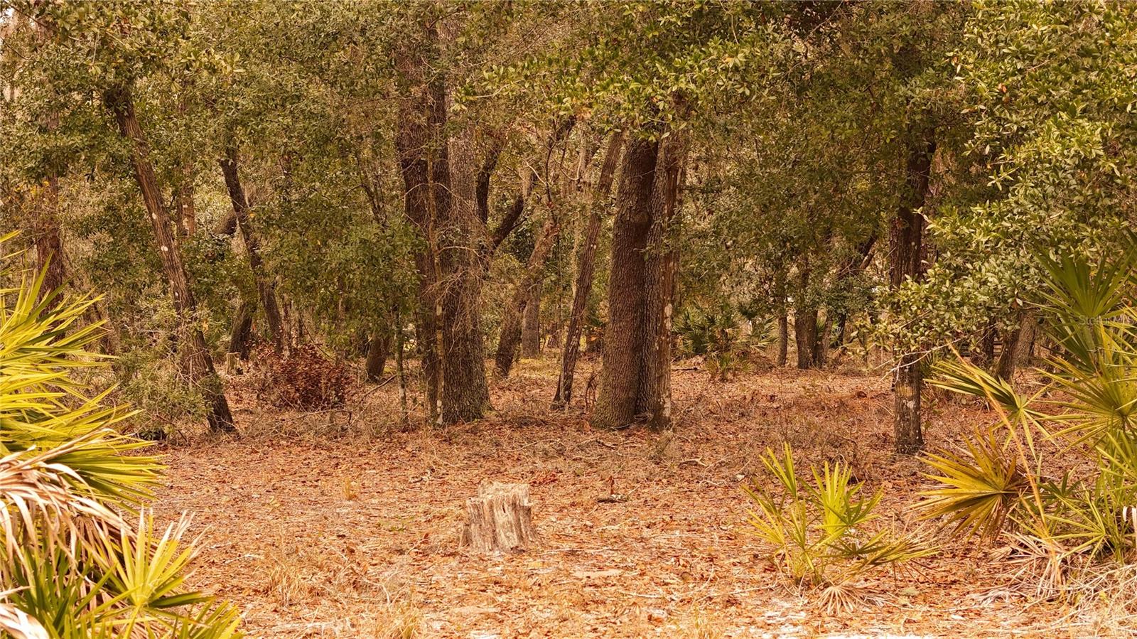 RIMA RDG RANCHETTES - Land