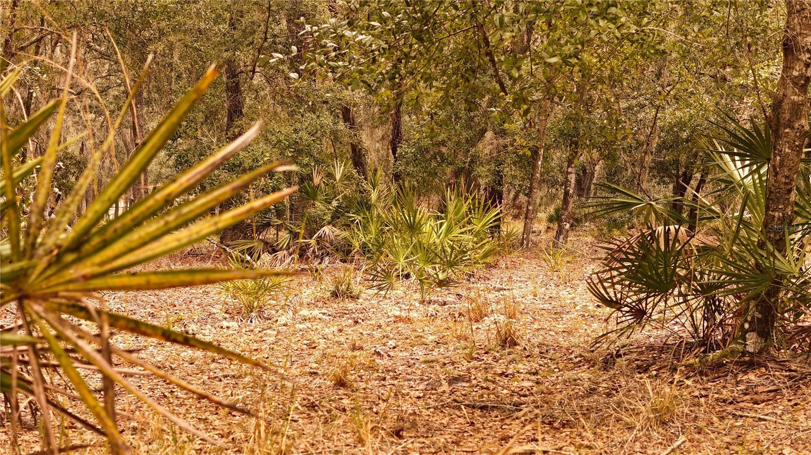 RIMA RDG RANCHETTES - Land