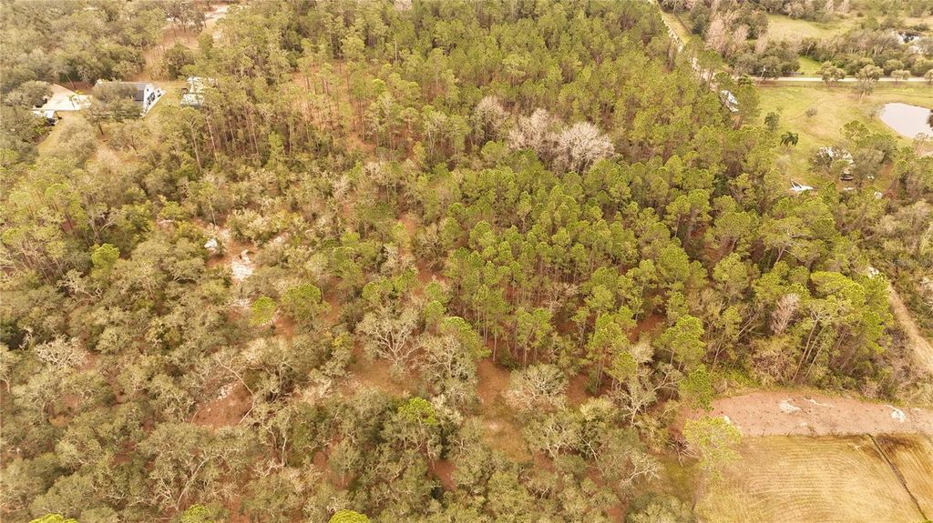 Photo of 95 Pinto Lane, Ormond Beach, FL 32174 (MLS # FC306416)