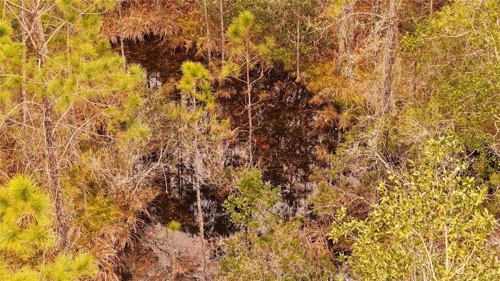 RIMA RDG RANCHETTES - Land