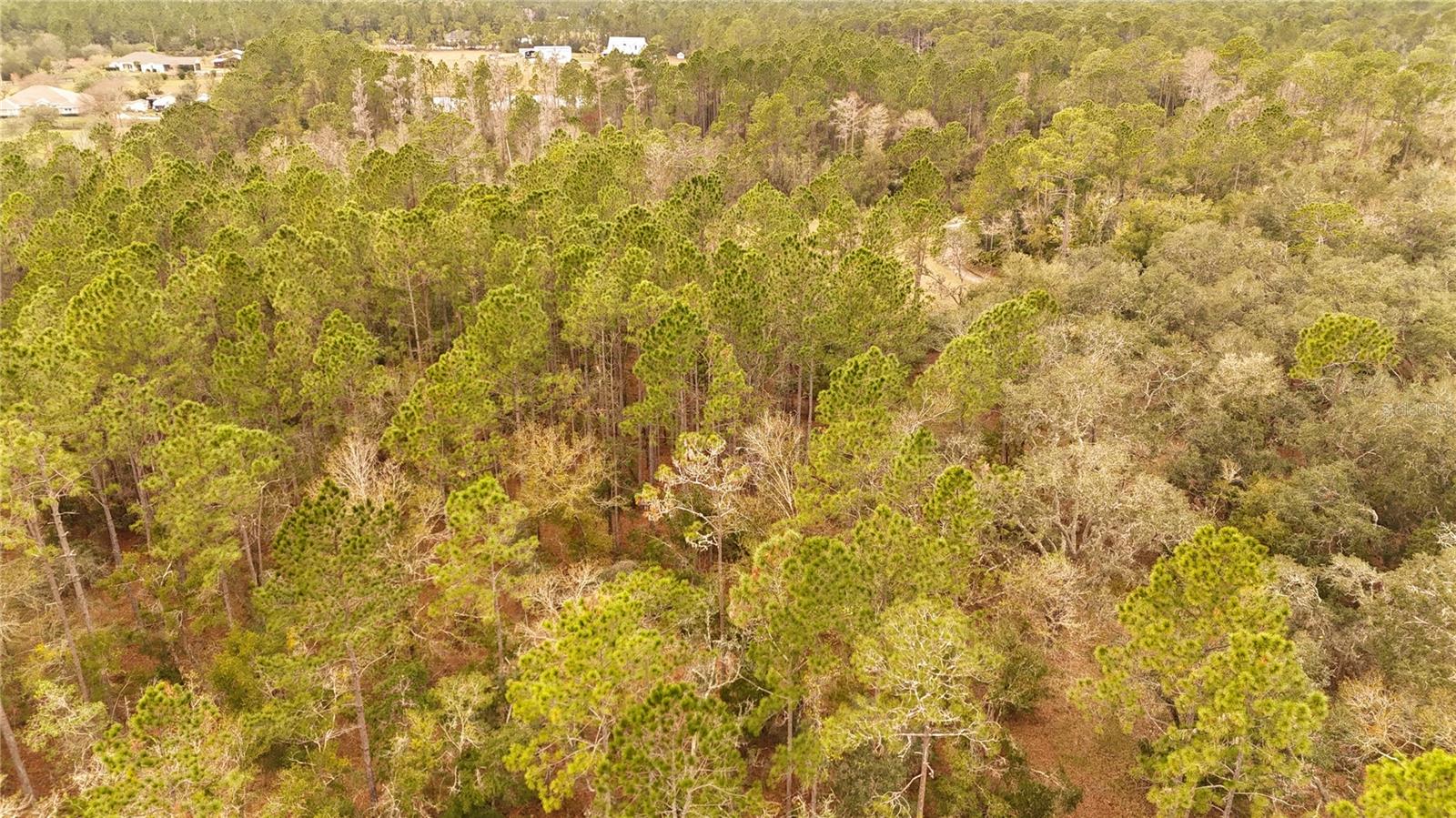 RIMA RDG RANCHETTES - Land