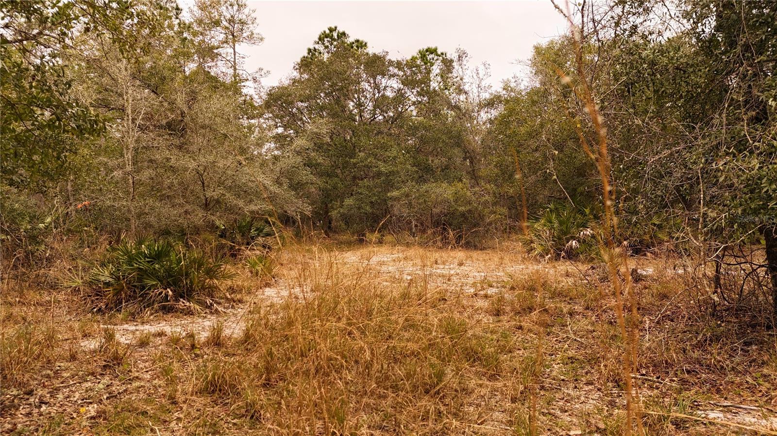 RIMA RDG RANCHETTES - Land