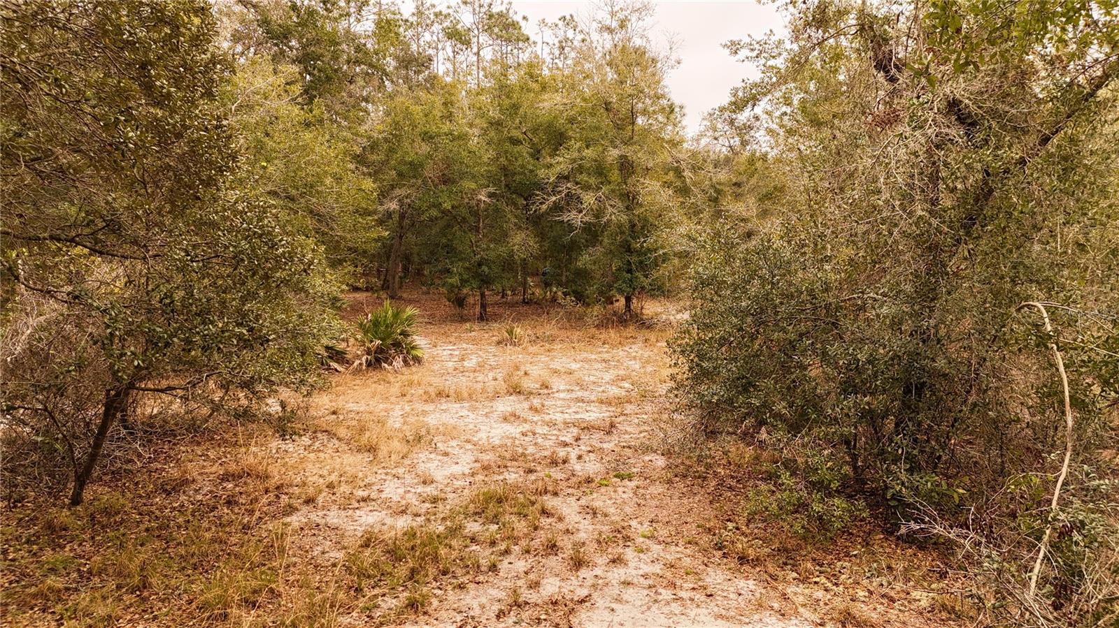 RIMA RDG RANCHETTES - Land