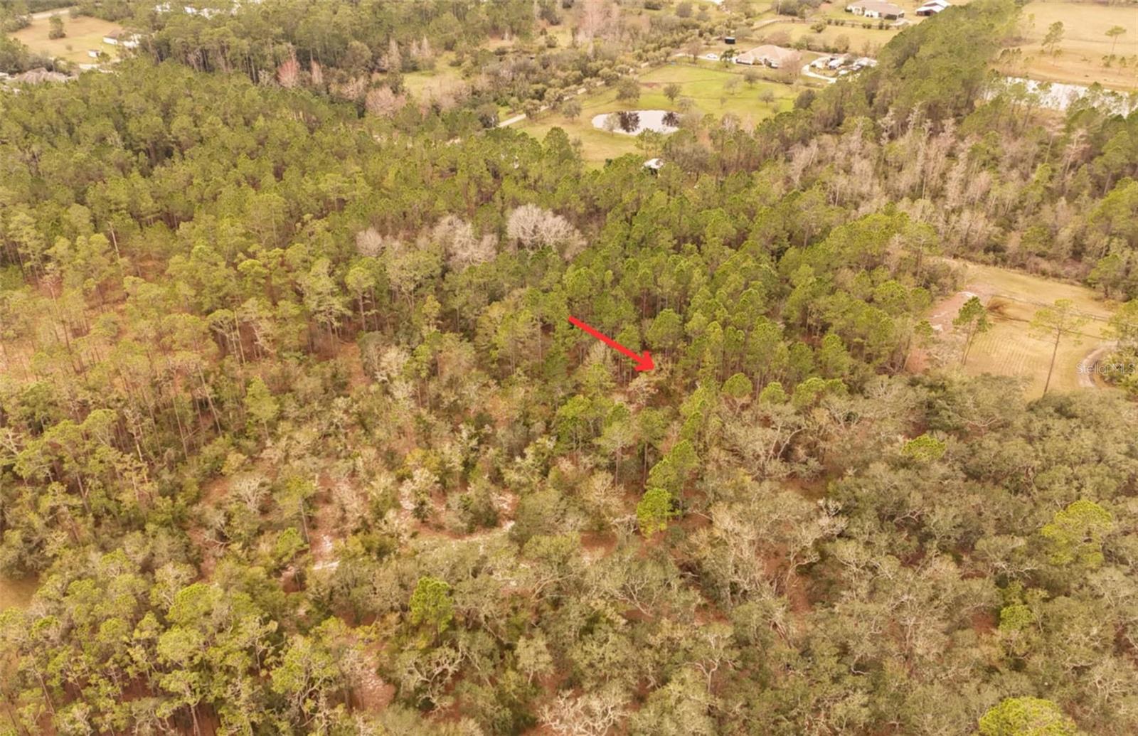 95 PINTO LANE
