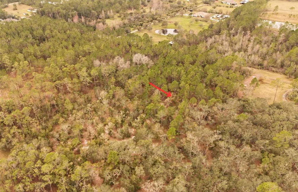 Photo of 95 Pinto Lane, Ormond Beach, FL 32174 (MLS # FC306416)