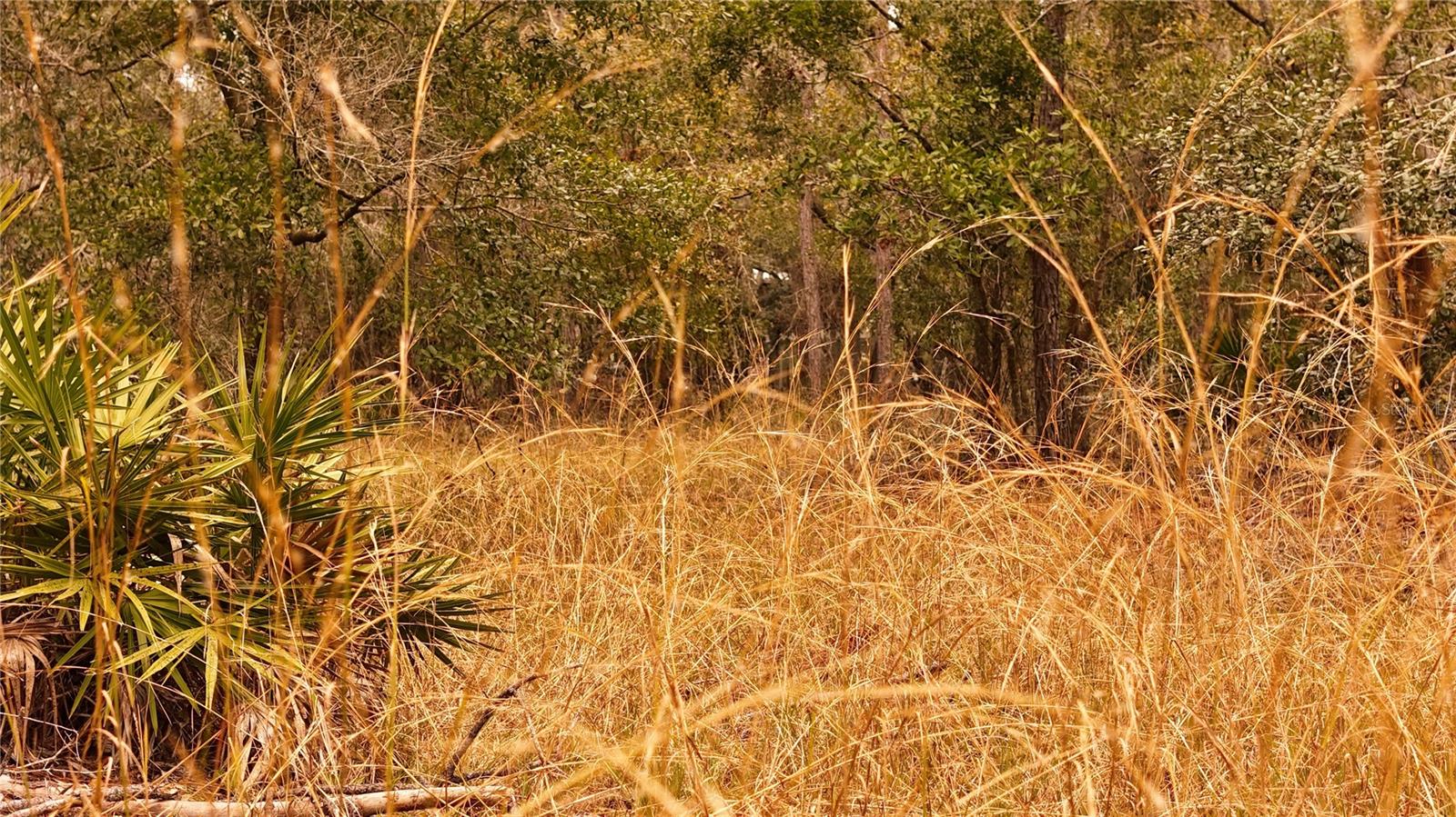 RIMA RDG RANCHETTES - Land