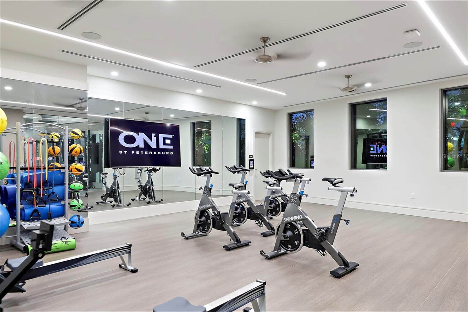 ONE ST PETERSBURG CONDO - Residential