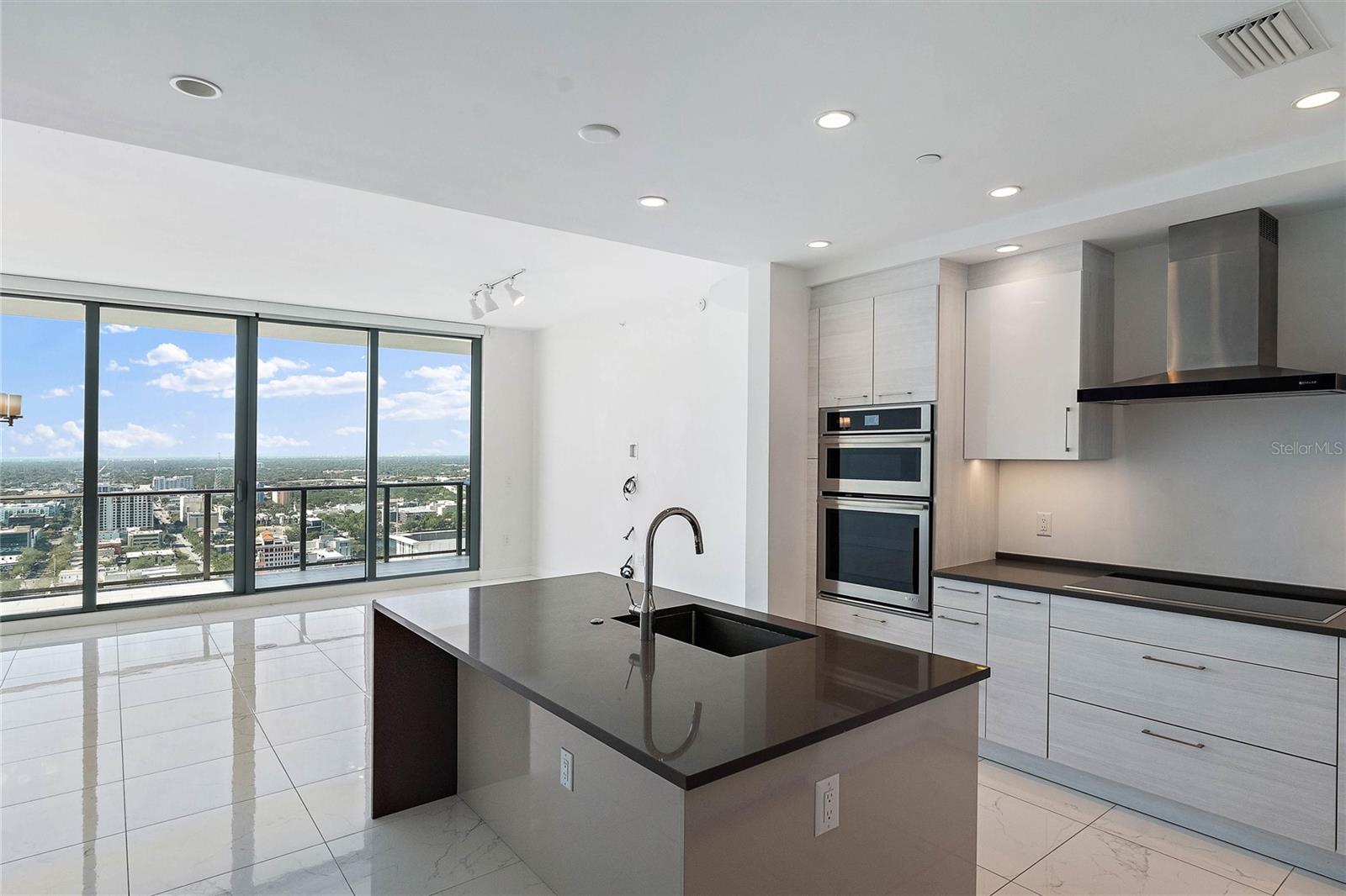 ONE ST PETERSBURG CONDO - Residential