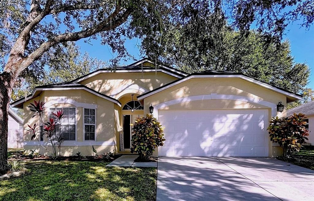 Photo of 5906 Erhardt Drive, Riverview, FL 33578 (MLS # TB8446086)