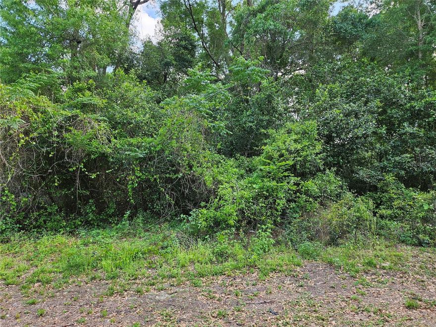 Great building lot with new homes being built close by.  Close to I-75 and shopping and hospitals.