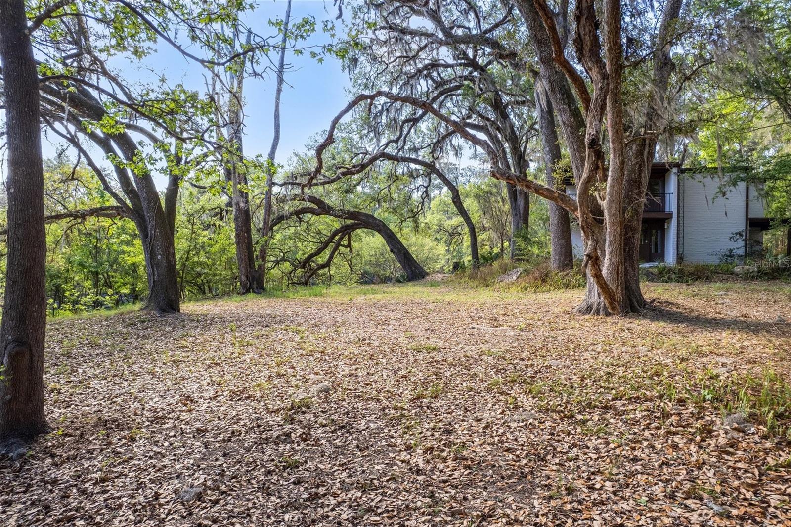 NOT IN SUBDIVISION - Residential