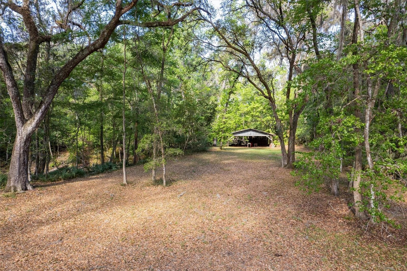 NOT IN SUBDIVISION - Residential