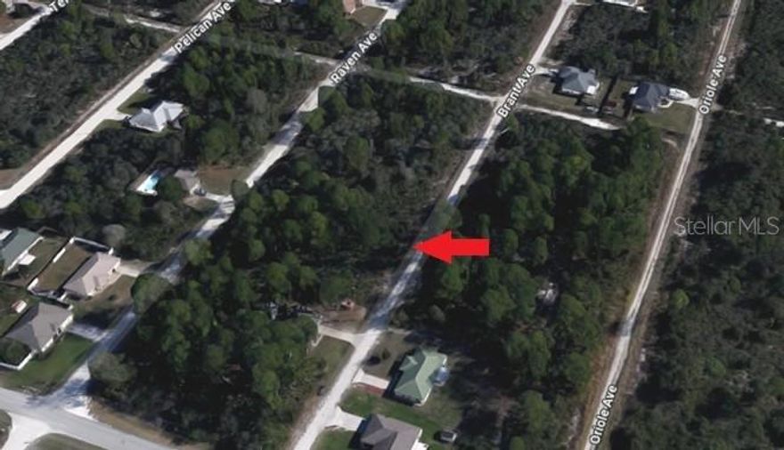 Great opportunity to build your dream home or invest in a growing Sebring area. This vacant residential lot is located in the established Sebring Hills South community and offers approximately 0.21 acres in a quiet, developed neighborhood. Zoned R-1 with no HOA, the property provides flexibility for a single-family build. Conveniently located close to restaurants, shopping malls, entertainment, schools, and medical facilities, while still offering a peaceful setting surrounded by natural beauty. Whether you’re a homeowner looking to build or an investor seeking future potential, this parcel offers versatility and promise in a desirable location. Buyer is responsible for conducting all inspections, surveys, feasibility studies, and due diligence related to the vacant lot. All information is deemed reliable but should be independently verified.