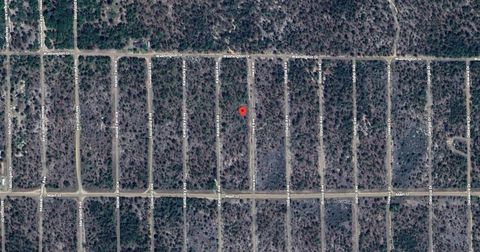 231 IOWA HAWTHORNE FL 32640