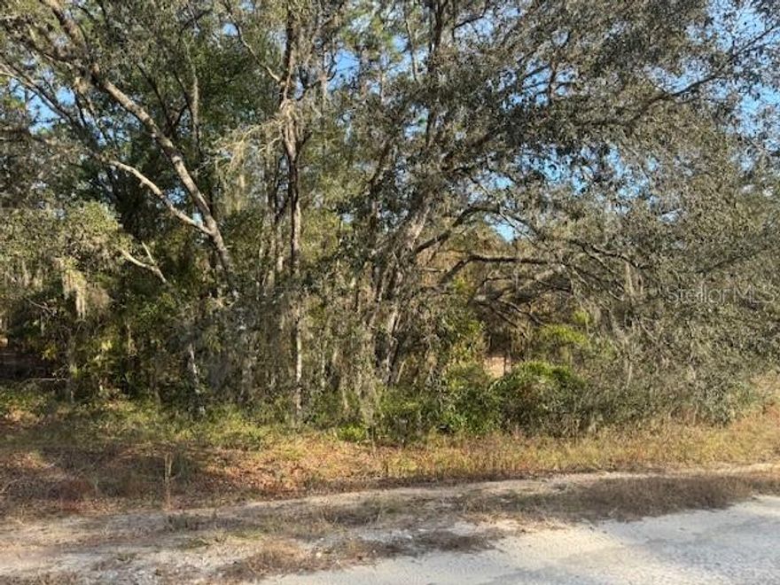 Rare Gem: 1.16-Acre R1-Zoned Retreat in Rolling Hills Unit 2 – Ocala's Serene Escape! 
 1.16 Acres | Unincorporated Marion County
Discover tranquility on this spacious, buildable 1.16-acre vacant lot in the peaceful Rolling Hills Unit 2 – where nature meets endless potential! Zoned R1 (Single-Family Residential), it's your canvas for a custom dream home, complete with a detached garage or barn for RV storage. Enjoy no HOA fees or restrictions, no mobile homes allowed, and ultimate privacy on a quiet dirt road – perfect for expanding your vision amid gentle rolling hills and wildlife.
Standout Features:

Generous Dimensions: 165' frontage x 305' depth – ample space for your home, pool, with detached RV garage.
Prime Location Perks: Just minutes from Ocala's vibrant SW corridor – world-class shopping at Paddock Mall, farm-fresh dining, top medical centers, and the iconic World Equestrian Center. Seamless I-75 access for quick trips to Orlando or Gainesville.
Ideal For:
Forever Home: Families building roots in a low-maintenance paradise.
Vacation Haven: Snowbirds crafting a sunny seasonal retreat.
Wise Investment: Hold or develop in this booming, non-flood zone.
Ready to Claim Your Spot? This hidden gem won't last – verify zoning/permits with Marion County Appraiser and schedule your exclusive tour today!