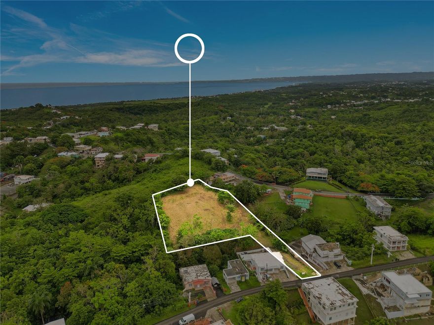 Embrace the opportunity to own a 1.66-acre elevated vacant lot on Camino Las Piñas, just off Rd 413 in Rincón, Puerto Rico. Perfectly zoned for agriculture, this versatile property is ideal for building a private residence, starting a farm, or creating a horticultural project.

The lot features a flat plateau, ideal for your dream home, with distant ocean view and refreshing breezes. Existing mango and banana trees enhance the tropical charm, and the lot has been recently cleared for easy access.

Enjoy ultimate privacy while being just a short drive from the beach, world-class surf, and downtown amenities. This serene  location offers the best of both worlds: natural beauty and convenient proximity to the vibrant Rincón community. Create your sanctuary in this idyllic setting and realize your vision. 

Contact us today for more information; motivated sellers. We can also connect you with local builders to help bring your dream project to life.