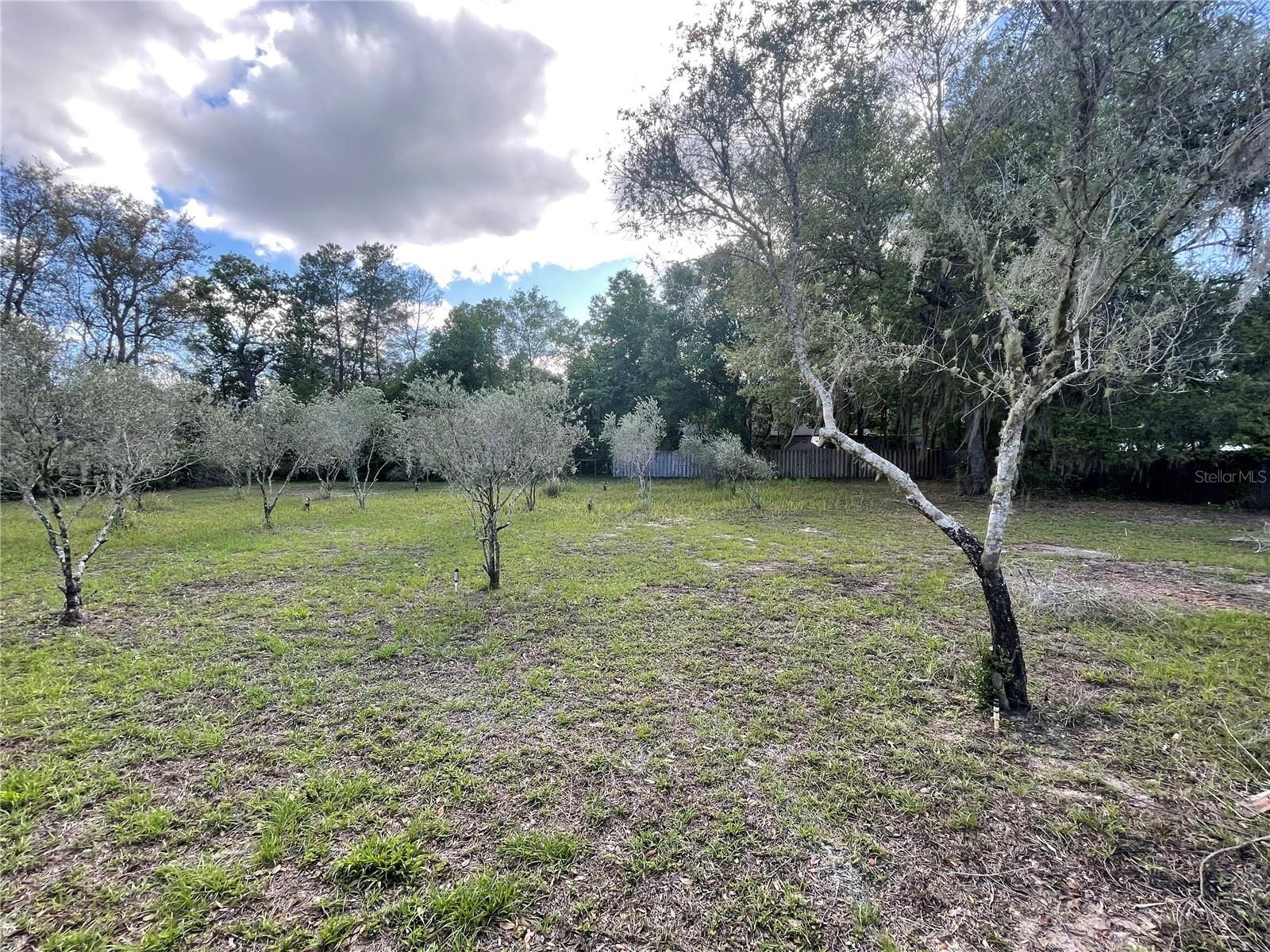 2395 TOMOKA WOODS PARKWAY