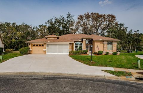 A home in NEW PORT RICHEY