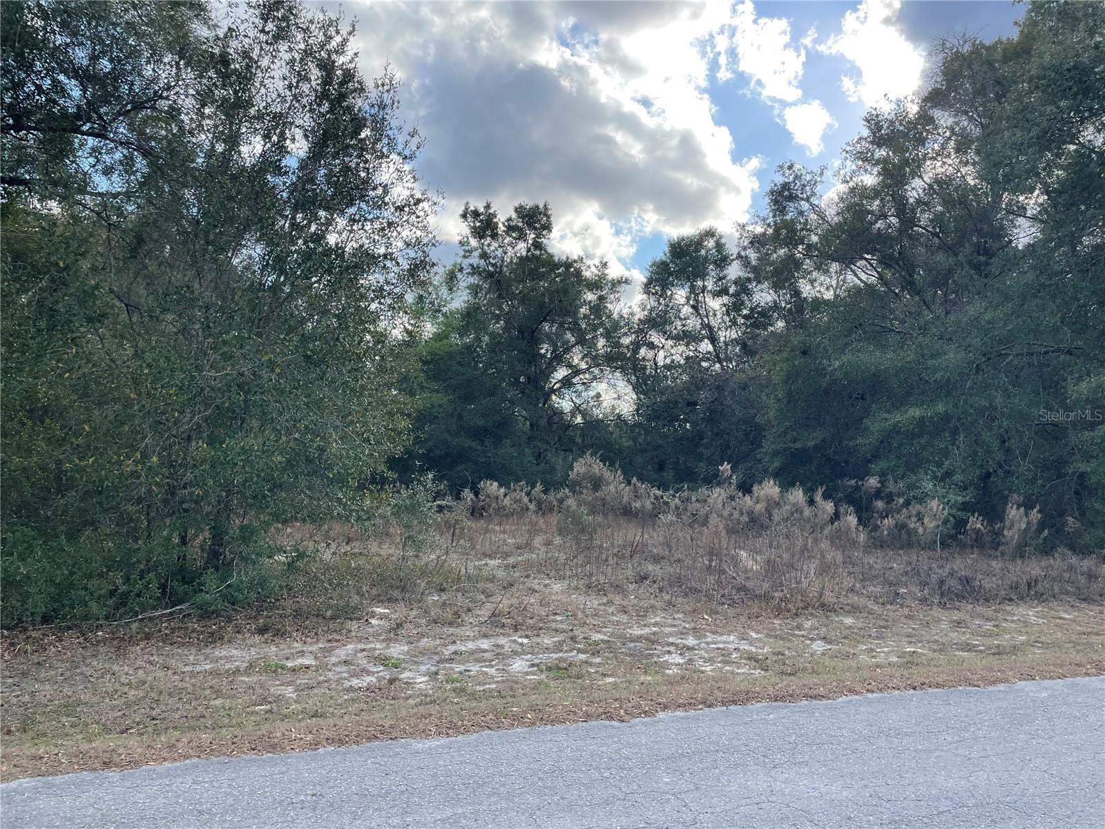 RIVER LAKES MANOR UNIT 01 - Land