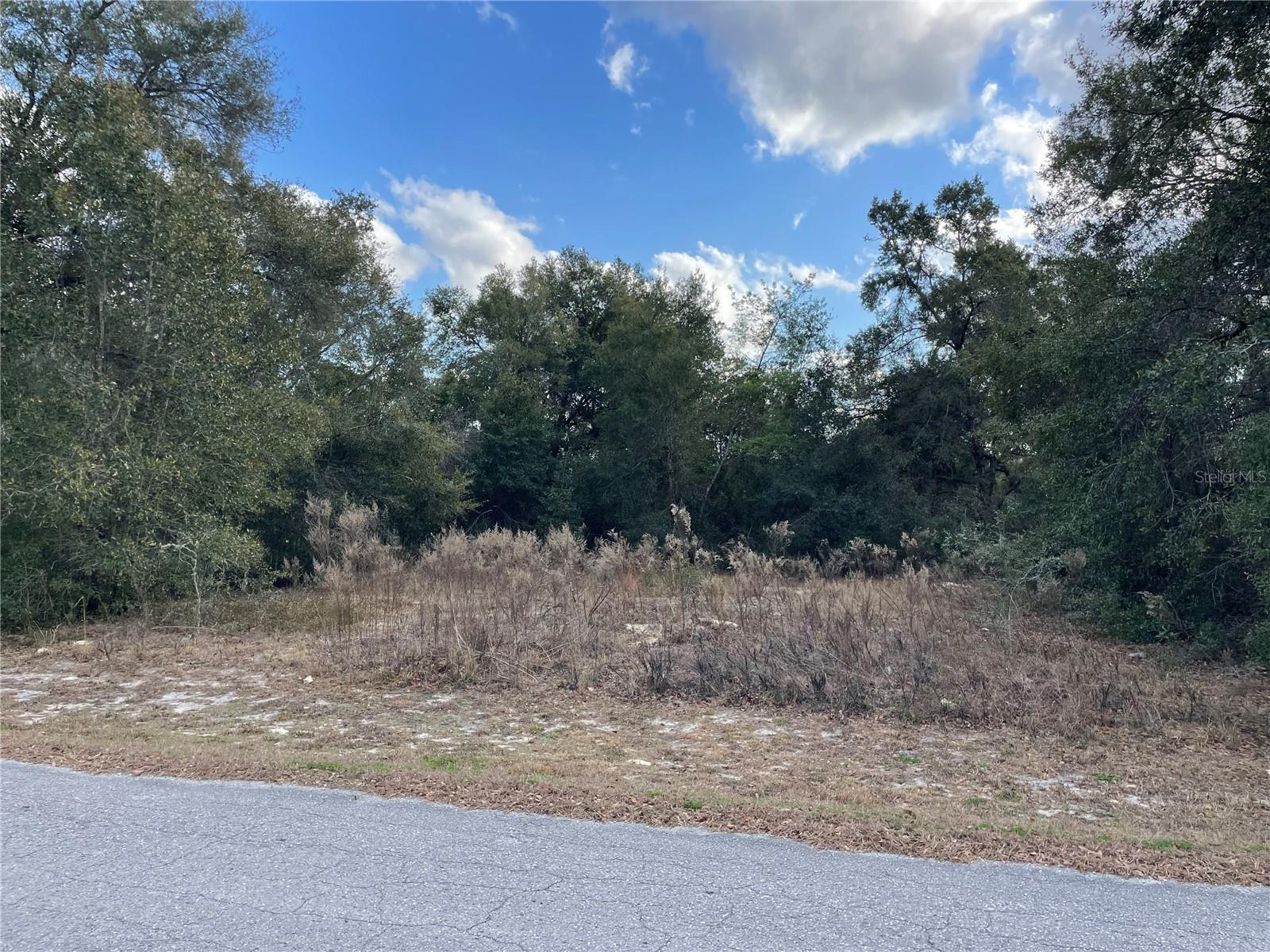 RIVER LAKES MANOR UNIT 01 - Land