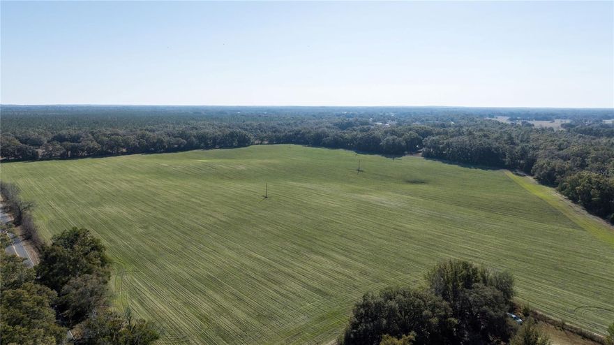Prime 43-Acre Property in Levy County – A Rare Opportunity!
If you're searching for the perfect piece of land in Levy County, this 43-acre parcel on CR 326 is a must-see. Conveniently located just east of Morriston and only two miles from Marion County, this property offers a stunning expanse of rolling, open land. Previously farmed by a local grower, it has been freshly reseeded with winter ryegrass, making it ready for agricultural use or future development.
One of the standout features of this property is its multiple access points—it boasts direct frontage on CR 326 as well as an additional entry via a Levy County grade road on the west side, ensuring easy accessibility.For equestrian enthusiasts, the location couldn’t be better. This property is just minutes from HITS (Horse Shows in the Sun) and approximately 15 miles from the renowned World Equestrian Center (WEC) in Ocala . Whether you're looking to establish a horse farm, training facility, or private equestrian estate, this location offers unparalleled convenience to some of the country’s top equestrian venues. Whether you're looking to develop, farm, or create a private retreat, this remarkable property is a rare find in Levy County. Call to today to schedule a tour!!