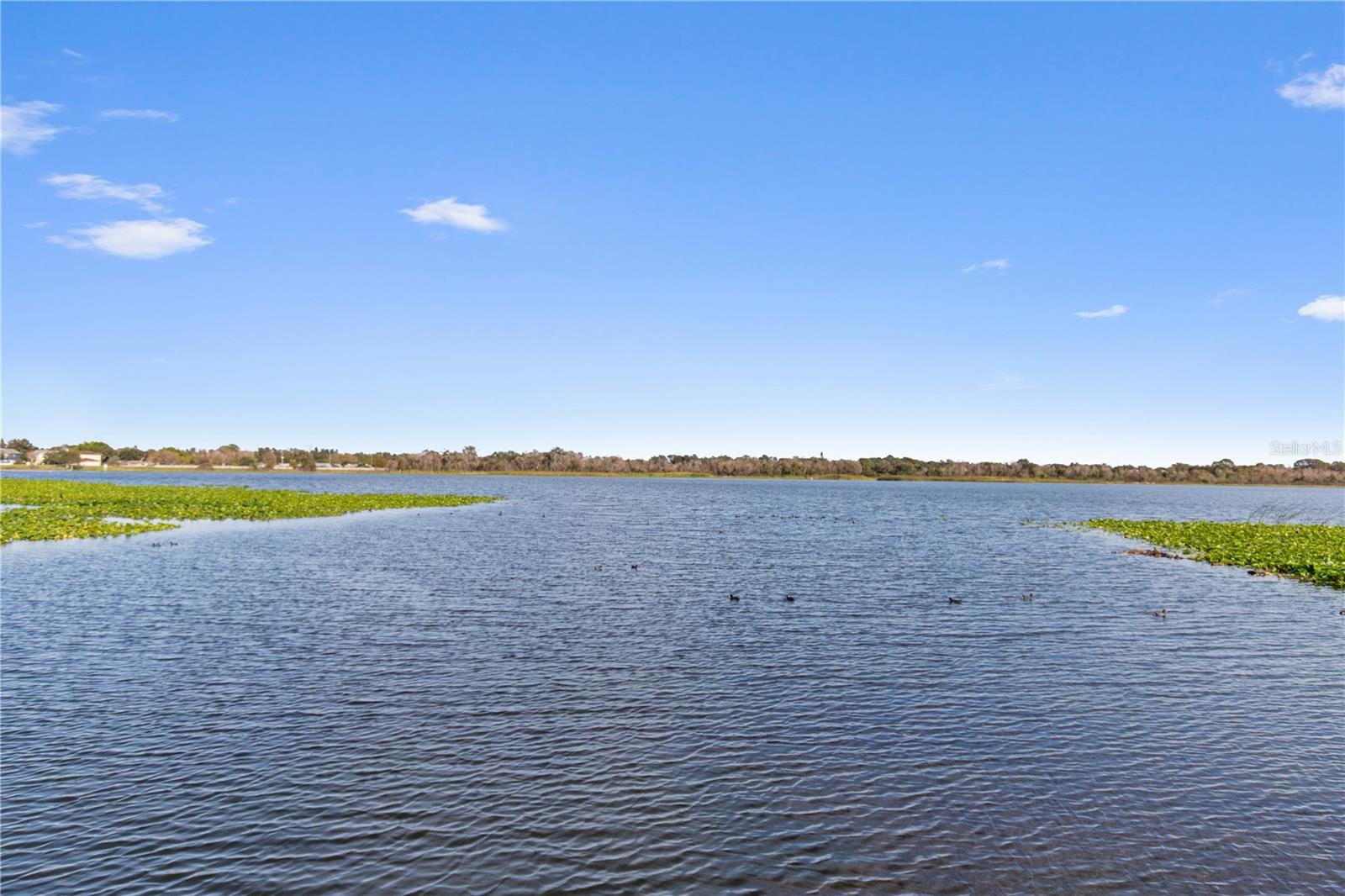 BELLA VISTA ON LAKE - Residential
