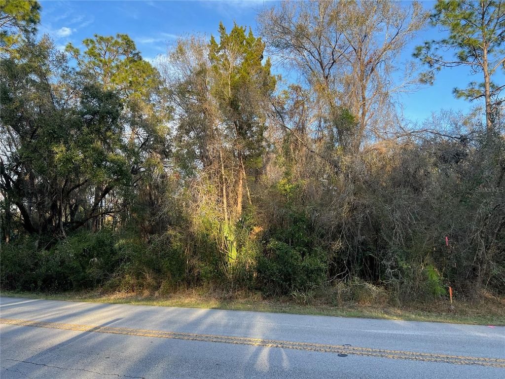 Photo of 8523 N Basswood Avenue, Crystal River, FL 34428 (MLS # TB8353421)