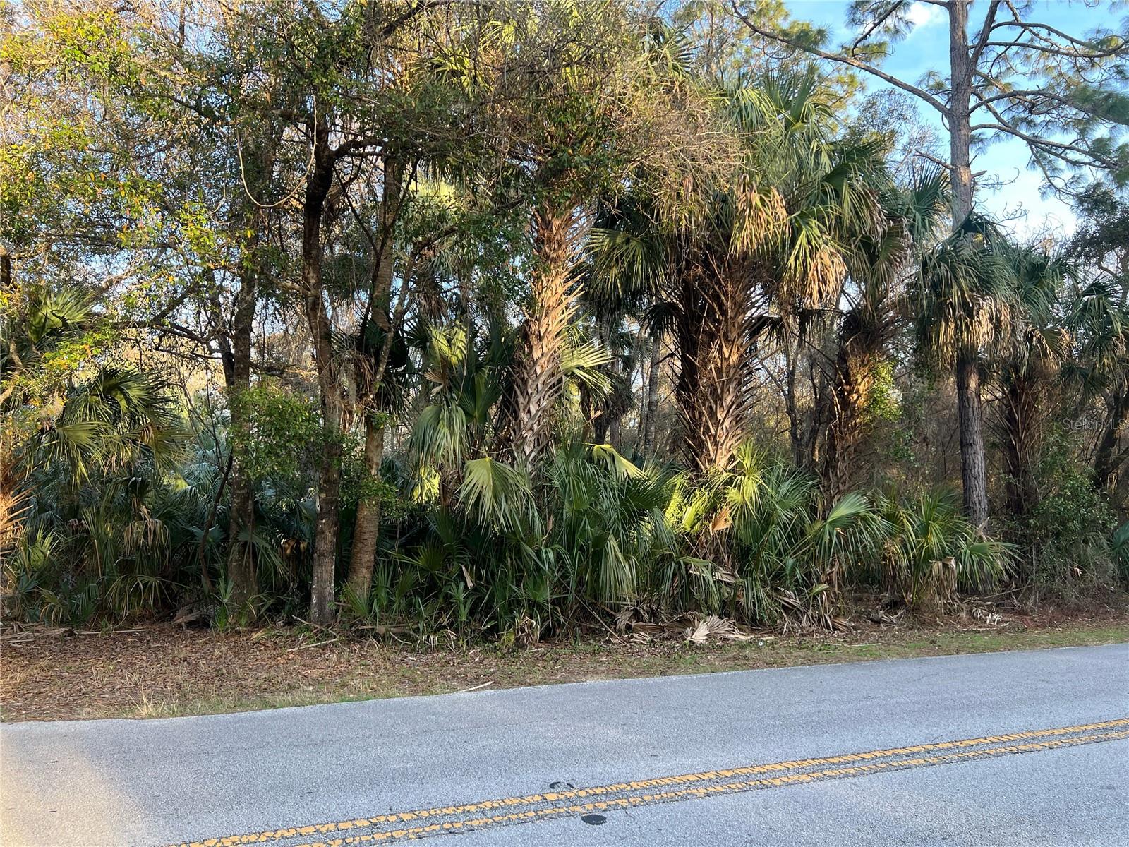 1.16-Acre Lot – Prime Location & Endless Possibilities! Discover the potential of this spacious 1.16-acre lot in Crystal River, FL! Whether you’re looking to build your dream home or invest in land, this property offers a peaceful setting with plenty of room to design and develop. Conveniently located near shopping, dining, and outdoor recreation in Yankeetown or Hunter Springs, boating, fishing, and nature trails. With no HOA restrictions, you have the freedom to create a space that fits your vision. Don’t miss this opportunity to own land in a thriving area!