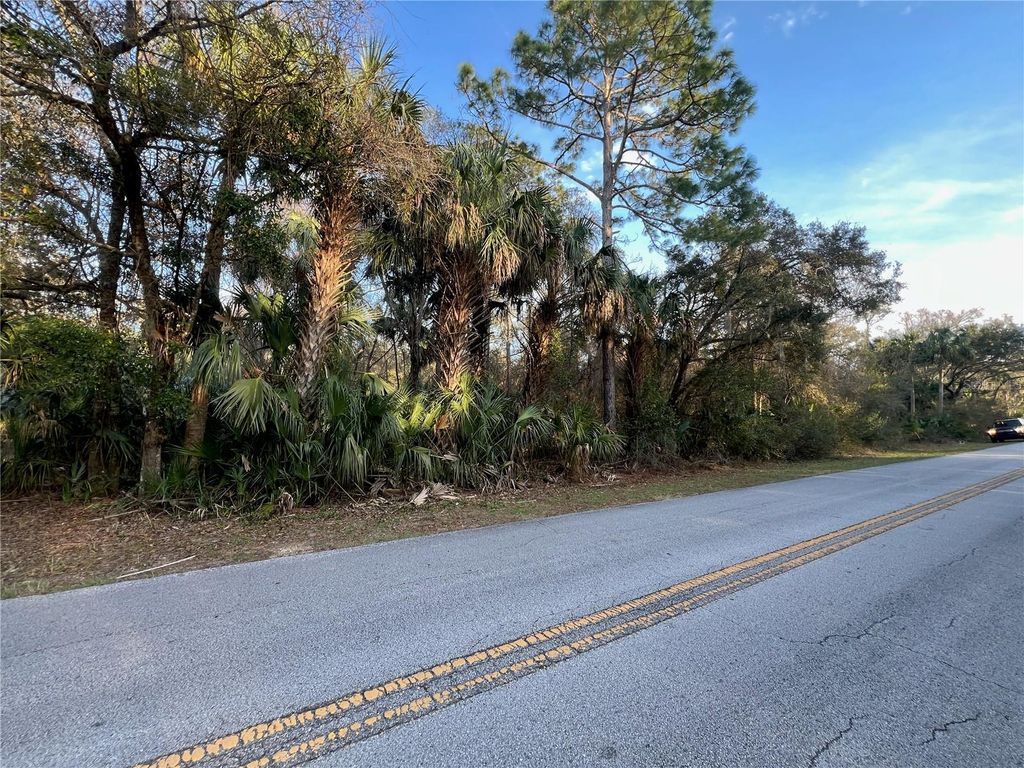 Photo of 8523 N Basswood Avenue, Crystal River, FL 34428 (MLS # TB8353421)