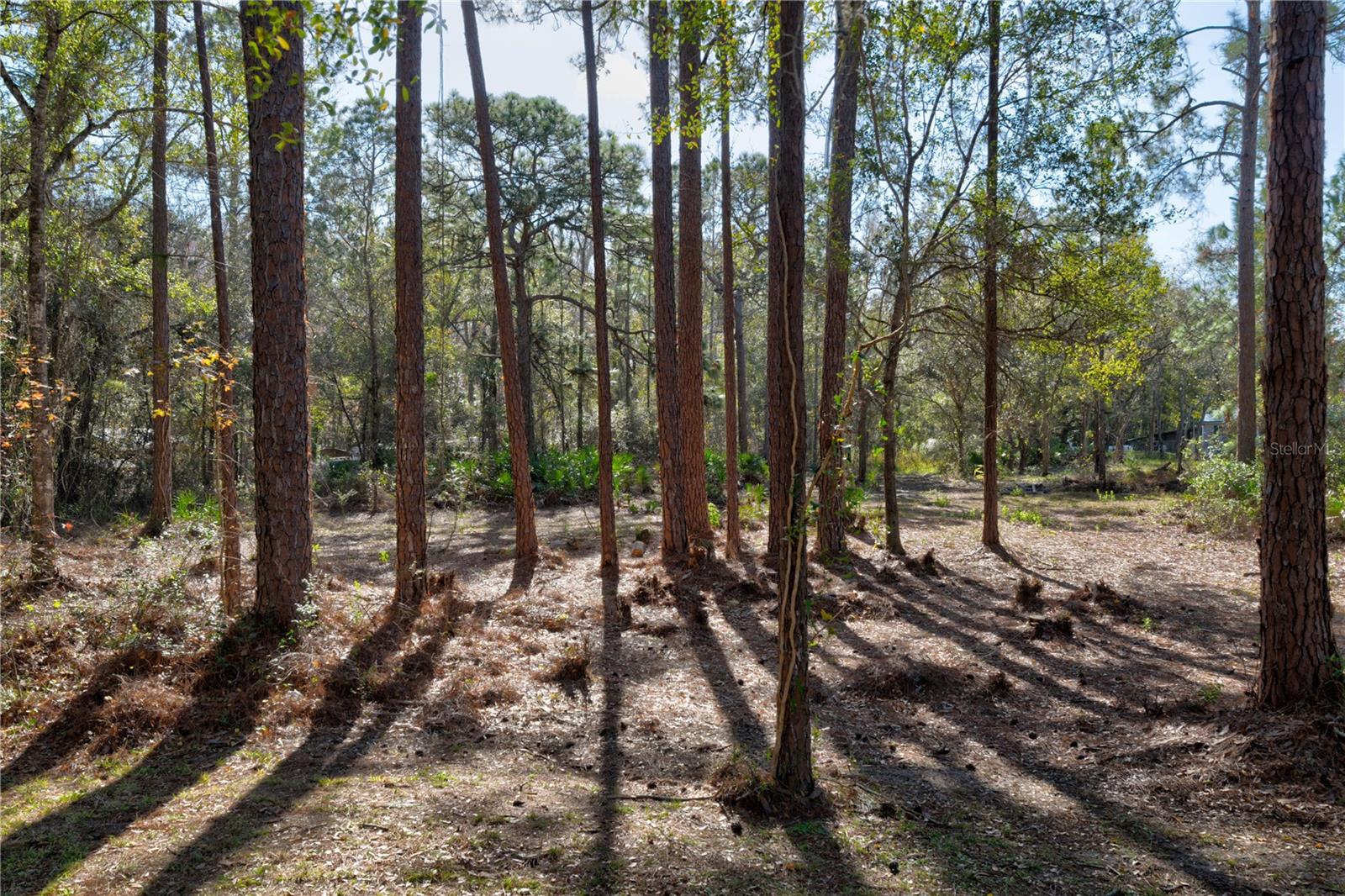 MOON LAKE ESTATES - Land